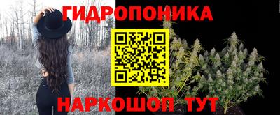 прущие крисы Тулун