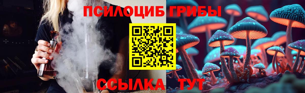 Галлюциногенные грибы GOLDEN TEACHER  Вход с VPN  Новодвинск  Галлюциногенные грибы Psilocybine cubensis 